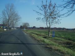 Teren INTRAVILAN de Vanzare INDRUSTRIAL - Imagine 3