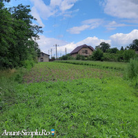 VANZARE CASA CLASICA TEREN la LACUL Samurcasi/Buftea - Imagine 2