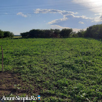 TEREN 3600EURO VANZARE INTRAVILAN - Imagine 3