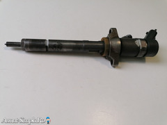 0445110239 0986435122 Bosch Injector Citroen Fiat Ford 1.6 - Imagine 3