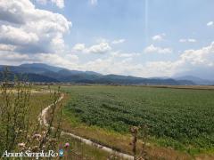 Brasov - Cristian, teren intravilan pentru dezvoltatori. - Imagine 3