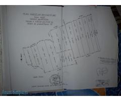TEREN AGRICOL IN JUDETUL CONSTANTA,ZONA PESTERA(14 HECTARE) - Imagine 4